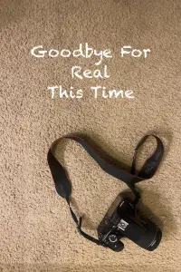 Poster to the movie "Goodbye For Real This Time" #632950