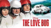 Backdrop to the movie "The Love Bug" #141326