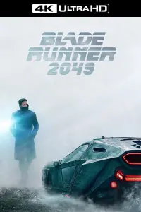 Poster to the movie "Blade Runner 2049" #8717