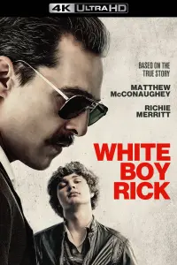 Poster to the movie "White Boy Rick" #316338