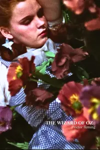 Poster to the movie "The Wizard of Oz" #42913