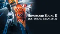 Backdrop to the movie "Homeward Bound II: Lost in San Francisco" #136059