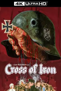 Poster to the movie "Cross of Iron" #131918