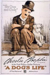 Poster to the movie "A Dog