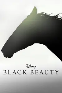 Poster to the movie "Black Beauty" #179870