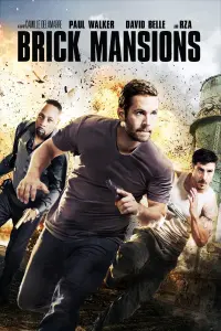 Poster to the movie "Brick Mansions" #89450