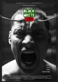 Poster to the movie "Black.White.Red." #480980