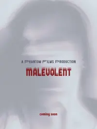 Poster to the movie "Malevolent" #443007