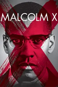 Poster to the movie "Malcolm X" #112571