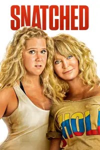 Poster to the movie "Snatched" #87281