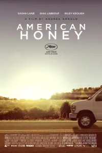 Poster to the movie "American Honey" #261735