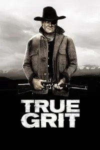 Poster to the movie "True Grit" #100906