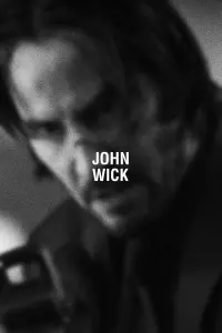 Poster to the movie "John Wick" #51576