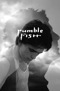 Poster to the movie "Rumble Fish" #134542