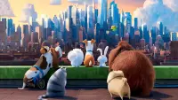 Backdrop to the movie "The Secret Life of Pets" #293686