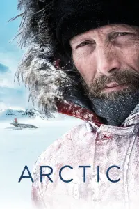 Poster to the movie "Arctic" #364826