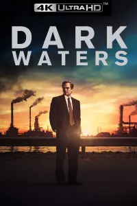 Poster to the movie "Dark Waters" #74878