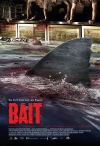 Poster to the movie "Bait" #136231