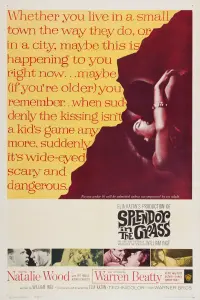 Poster to the movie "Splendor in the Grass" #365058