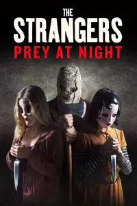 Poster to the movie "The Strangers: Prey at Night" #85579