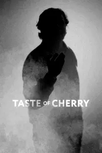 Poster to the movie "Taste of Cherry" #111980