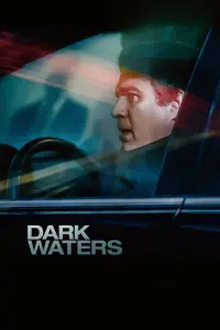 Poster to the movie "Dark Waters" #74871