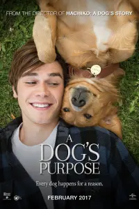 Poster to the movie "A Dog