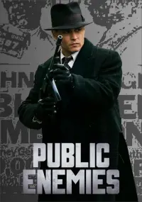 Poster to the movie "Public Enemies" #271257