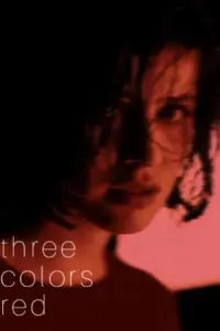 Poster to the movie "Three Colors: Red" #94002