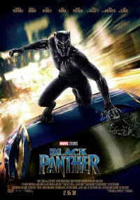 Poster to the movie "Black Panther" #219965