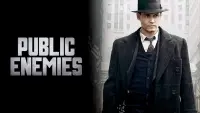 Backdrop to the movie "Public Enemies" #271226