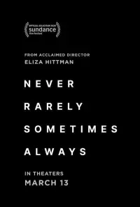 Poster to the movie "Never Rarely Sometimes Always" #103990