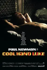 Poster to the movie "Cool Hand Luke" #102960