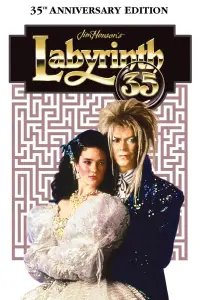 Poster to the movie "Labyrinth" #121804