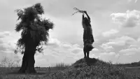 Backdrop to the movie "The Turin Horse" #201325