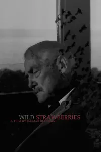 Poster to the movie "Wild Strawberries" #177624