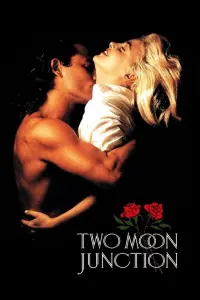 Poster to the movie "Two Moon Junction" #328262