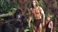 Backdrop to the movie "George of the Jungle 2" #361644