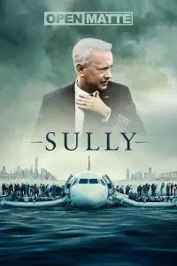 Poster to the movie "Sully" #234202