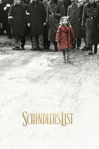 Poster to the movie "Schindler