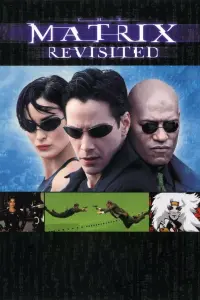 Poster to the movie "The Matrix Revisited" #159434