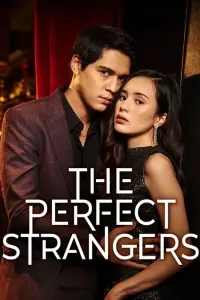 Poster to the movie "The Perfect Strangers" #473503