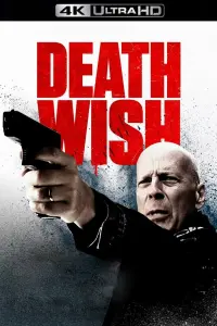 Poster to the movie "Death Wish" #88249