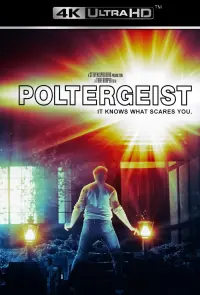 Poster to the movie "Poltergeist" #106274