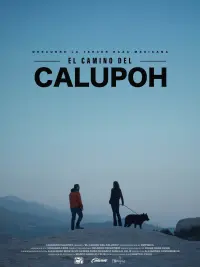 Poster to the movie "El Camino del Calupoh" #555774