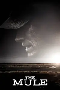 Poster to the movie "The Mule" #69733