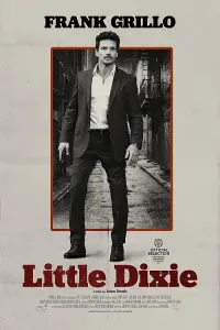 Poster to the movie "Little Dixie" #102652