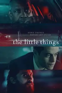 Poster to the movie "The Little Things" #51334