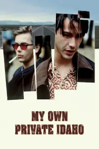 Poster to the movie "My Own Private Idaho" #120094