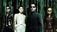 Backdrop to the movie "The Matrix Reloaded" #244229